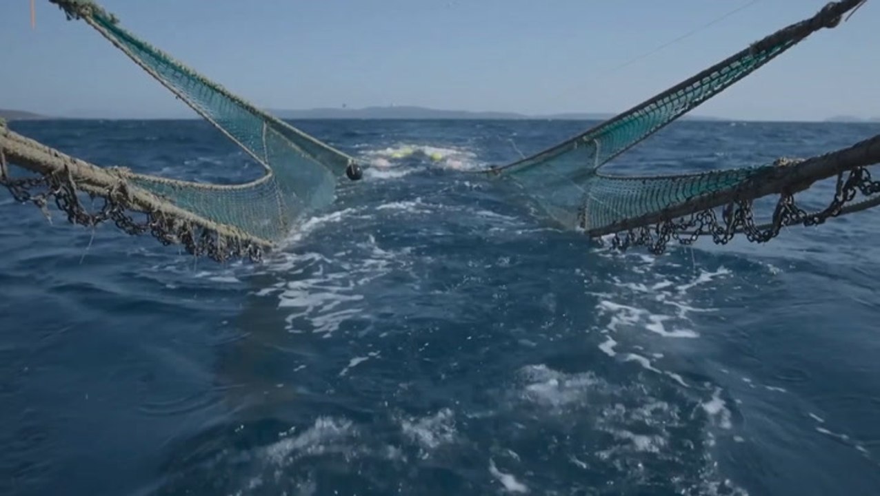 Shocking David Attenborough footage shows destruction caused by trawling seabed