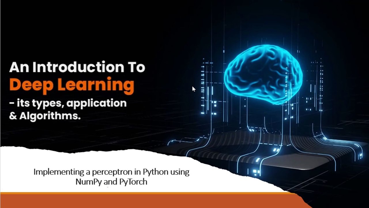 Perceptron Algorithm from Scratch in Python 🔥 NumPy & PyTorch Guide!
