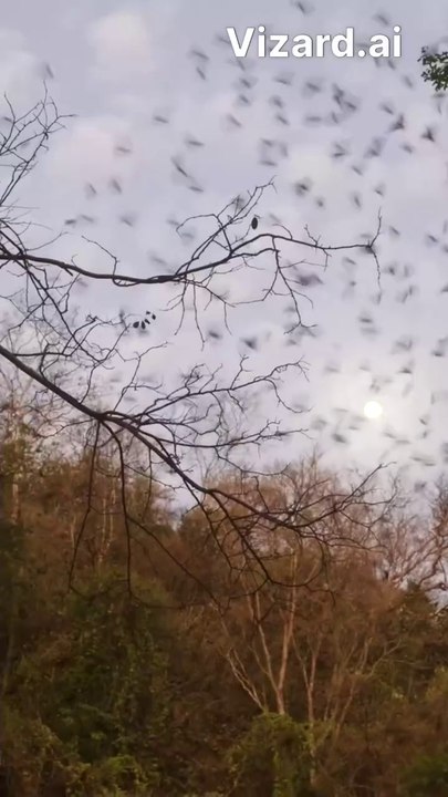 “This Cave Is Called the Mouth of Hell… Here’s Why”