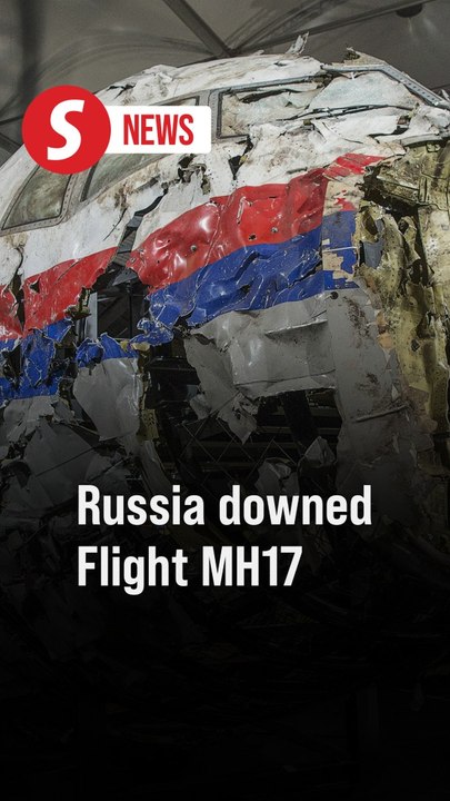 UN aviation body rules Russia downed Flight MH17