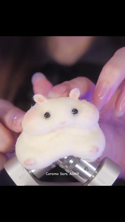 ASMR Addictive Hamster Taba Squishy Toy 🐹