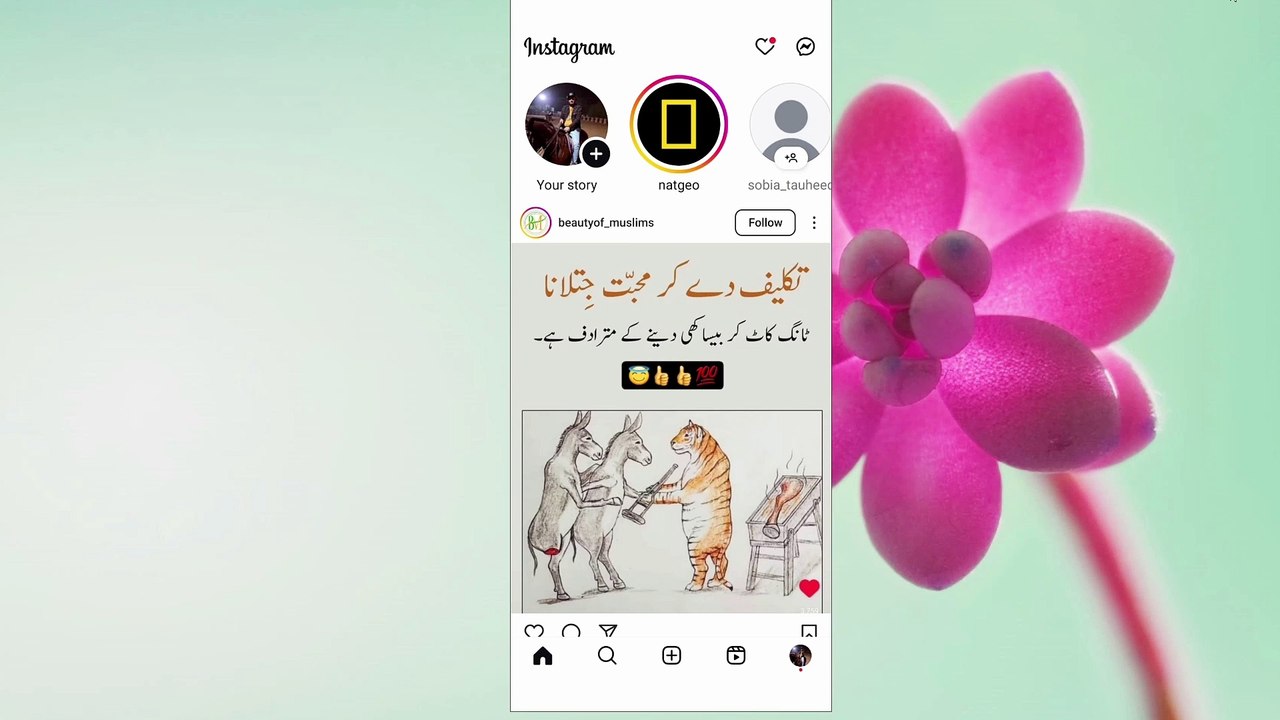 How to Turn on Sleep Mode in Instagram