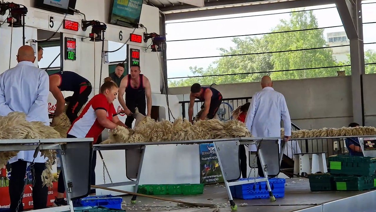 Balmoral 2025: Competitive wool-handling