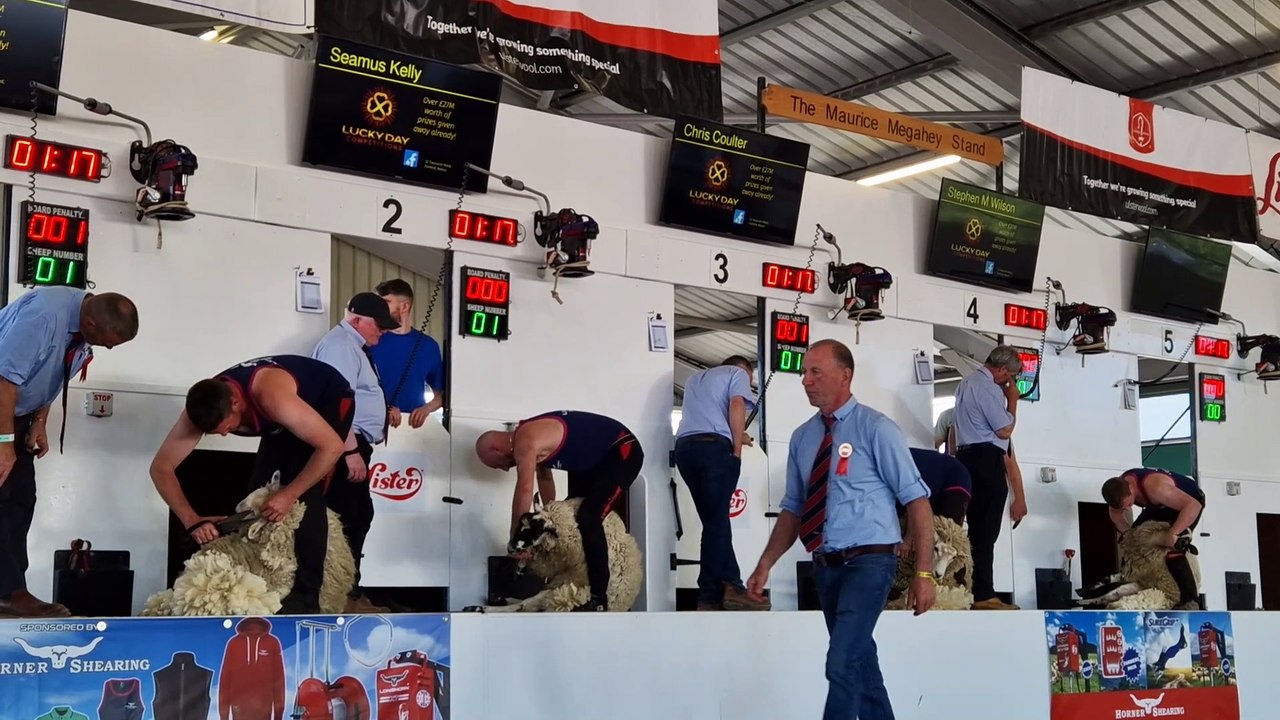 Balmoral 2025: Competitive sheep shearing