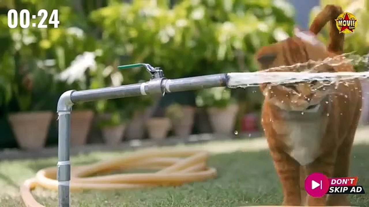 Kupu-Kupu Kertas (2025) - Indonesian Drama Film - film bioskop