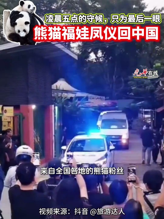 熊猫兴兴靓靓告别大马 粉丝伤感目送：再见了！