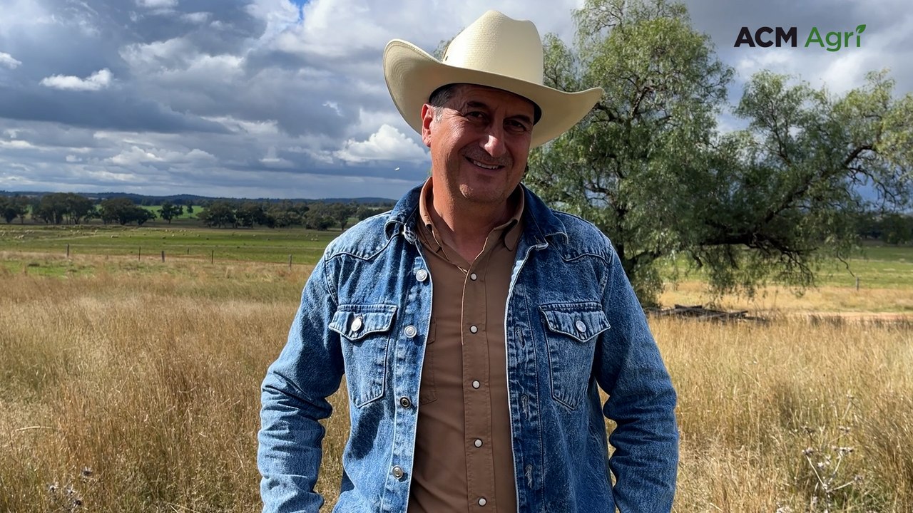 Listen hard: Nature will tell you what is needed