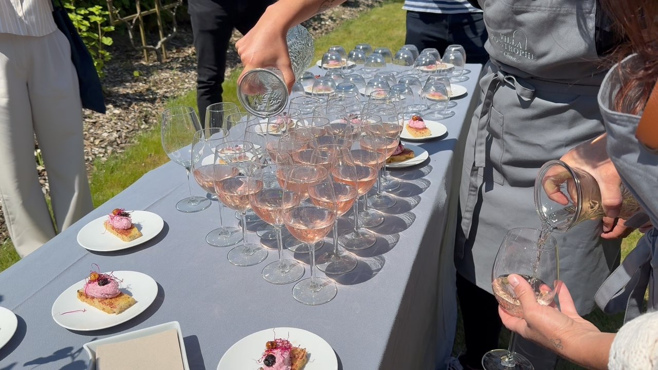 Tasting wine and visiting vineyards in the Loire Valley