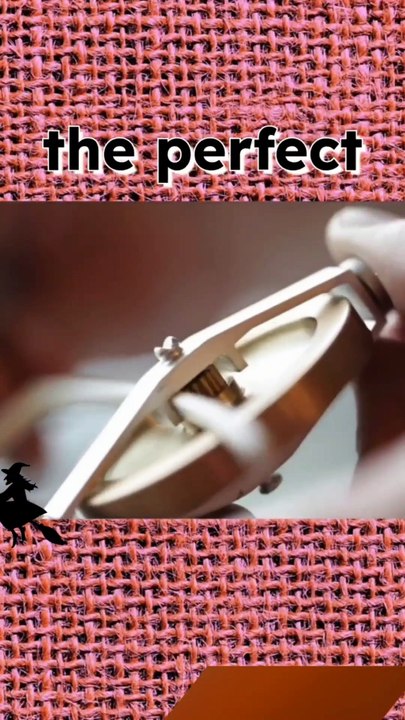 The RODA Gyroscope: Experience Physics in Action