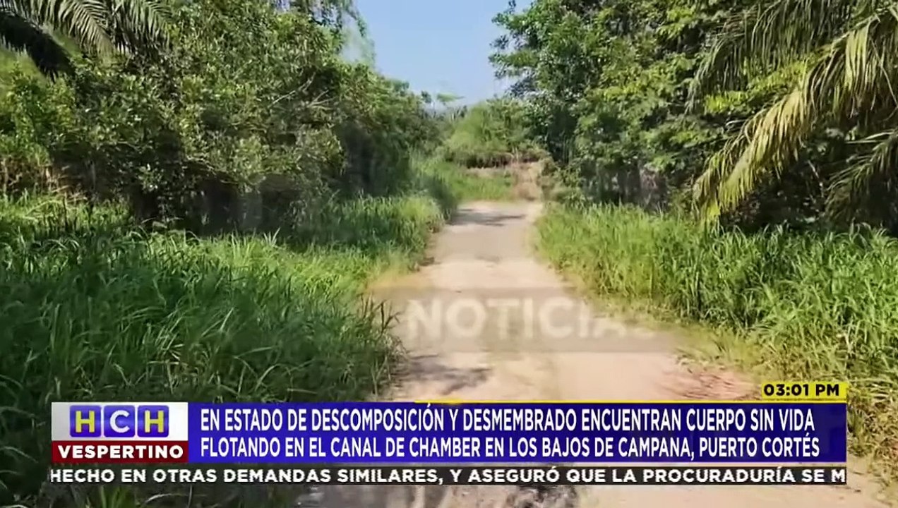 ¡Espantoso! Desmembrado hallan cadáver de una persona a orilla del canal Chamber, Puerto Cortés