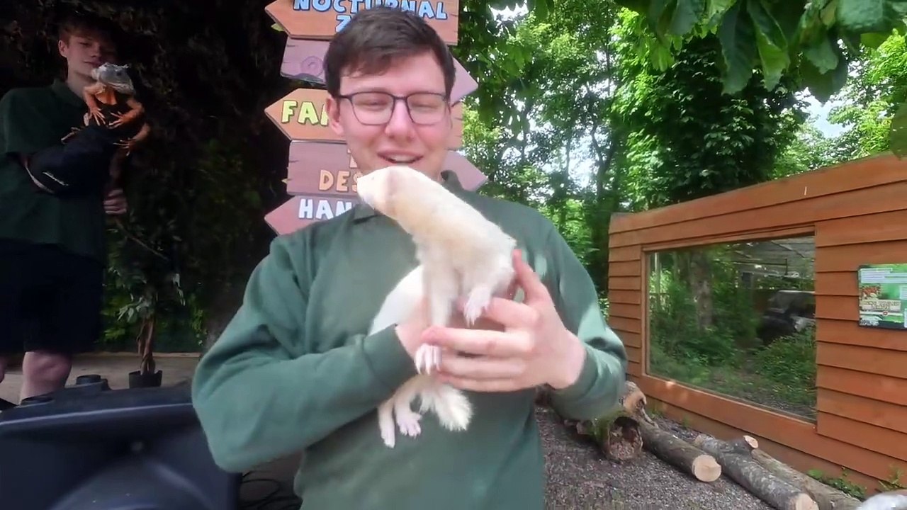 Exotic Zoo in after hours fest, complete with TV's The Voice star singer