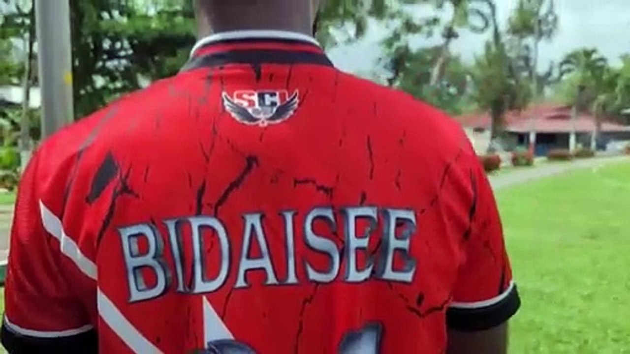 GET TO KNOW NAVIN BIDAISEE