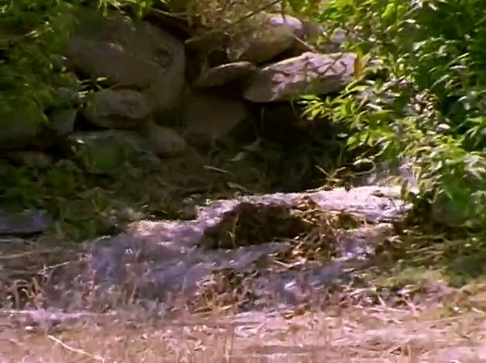 Secrets of Lost Empires: Inca