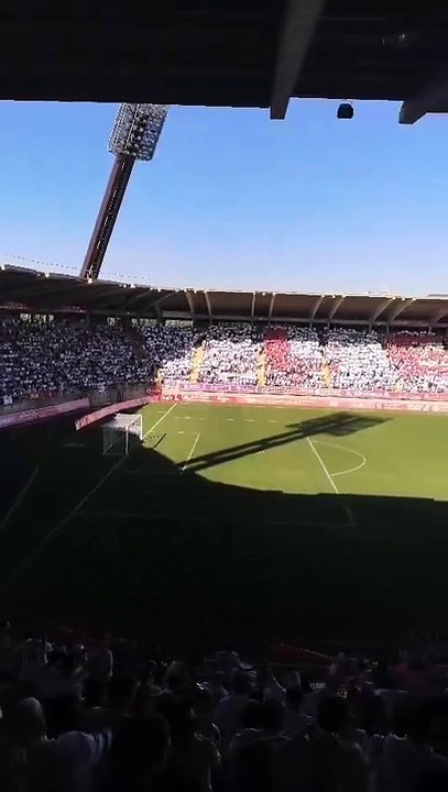 Emoción en el Reino