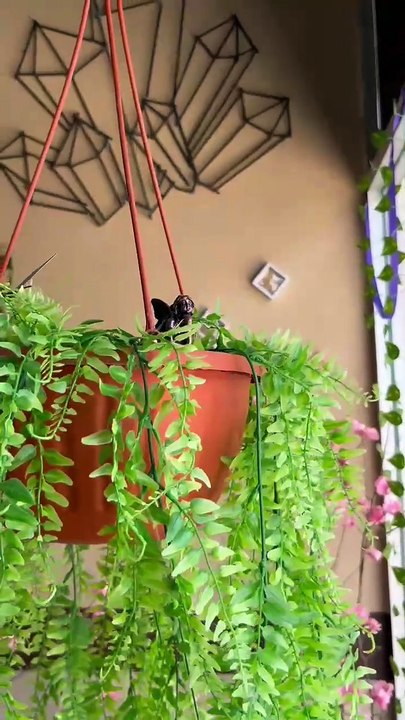 Cafetería con temática de cuarzos te recargará de energía en Escobedo