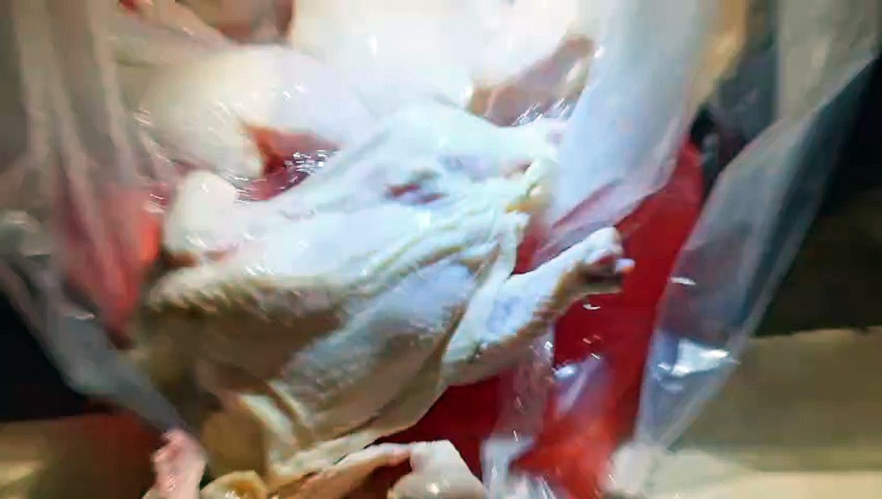 Pioneers of X-Ray Technology | show | 1991 | Official Trailer