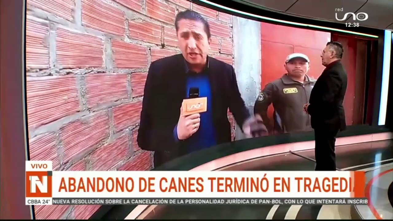CANES SIN TENENSIA RESPONSABLE