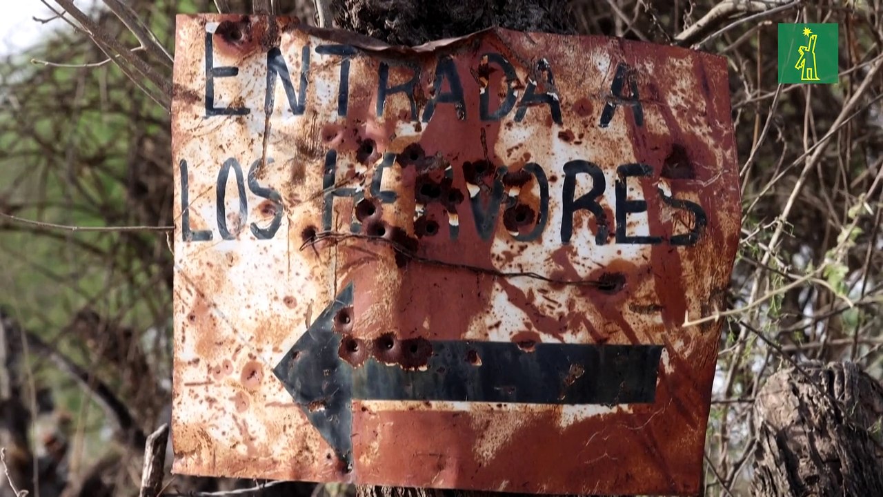 La violencia del narco golpea a un grupo de músicos de corridos en México