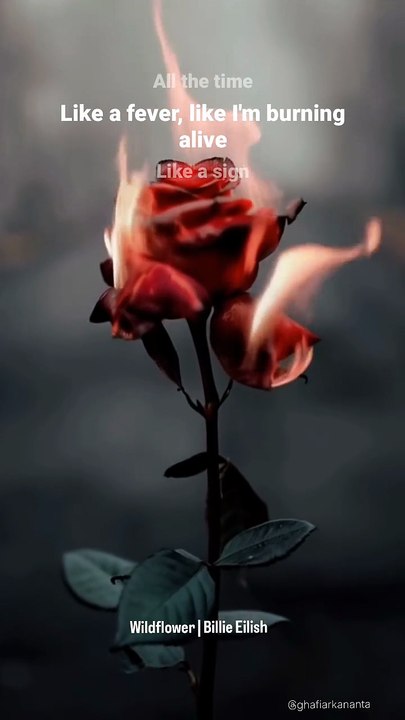 Wildflower - Billie Eilish