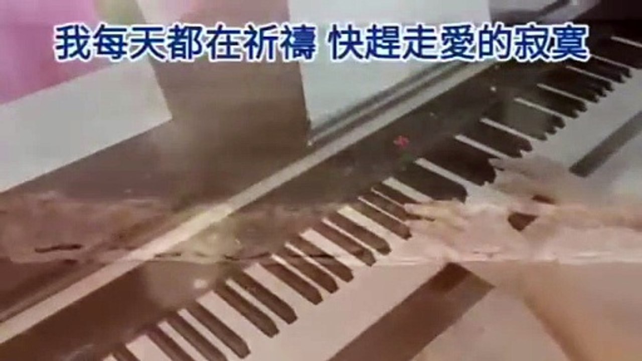 台灣民謠鋼琴曲 國語老歌輕音樂 台  7