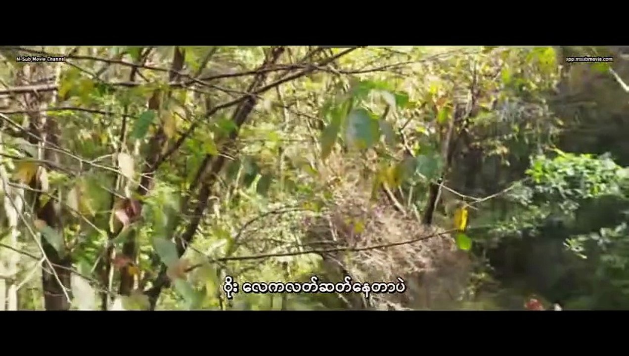 365 Days _ Hollywood 18+ Movies