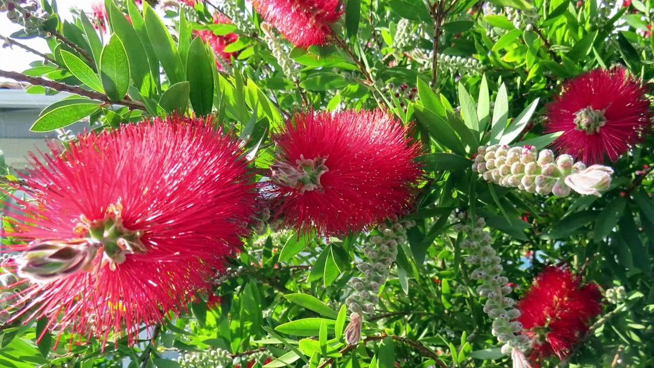 2025-MAI-OLERON 2025