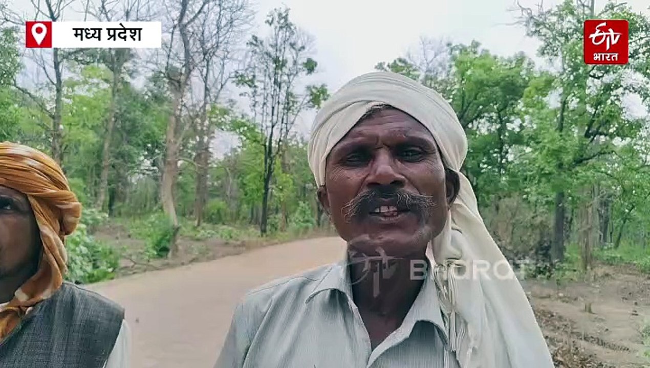 पन्ना में पग-पग पर खतरों वाला रास्ता, दिन में भी पैदल जाने की नहीं है परमिशन