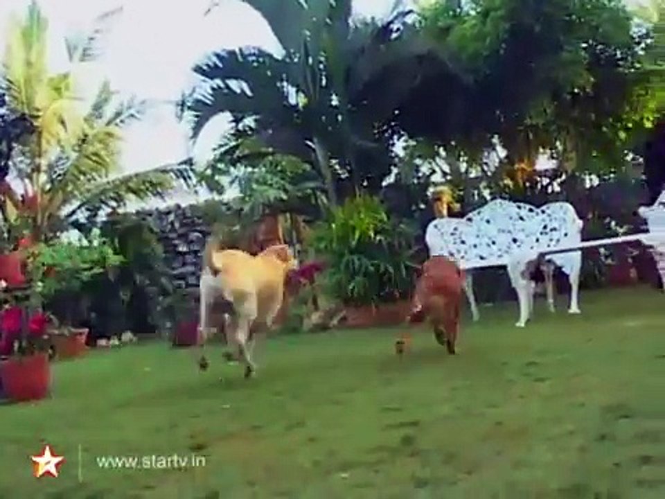 Krishna & Arjun - Episode 37 | Don't Miss This Exciting Episode! 🎬