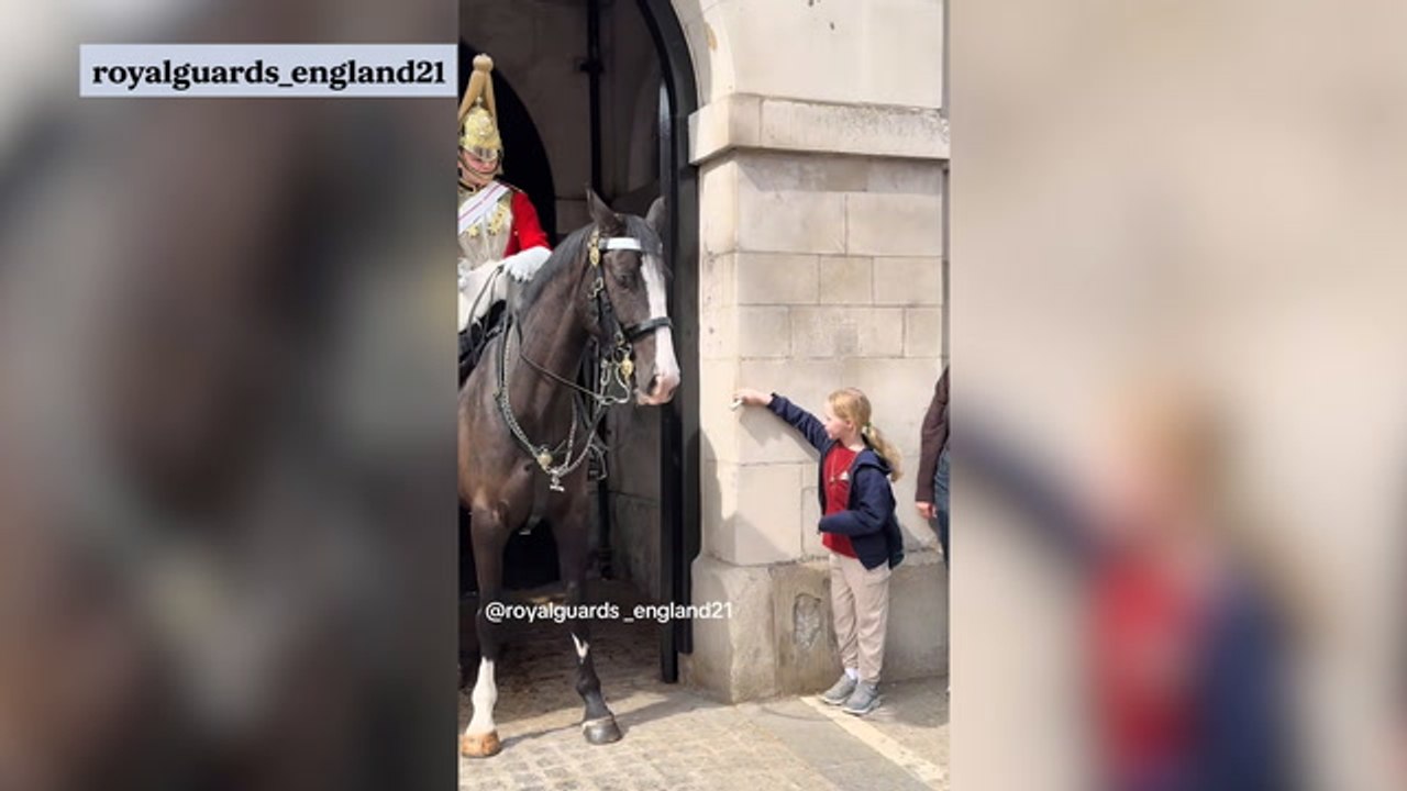 Heartwarming moment King’s Guard horse ‘kisses’ delighted girl