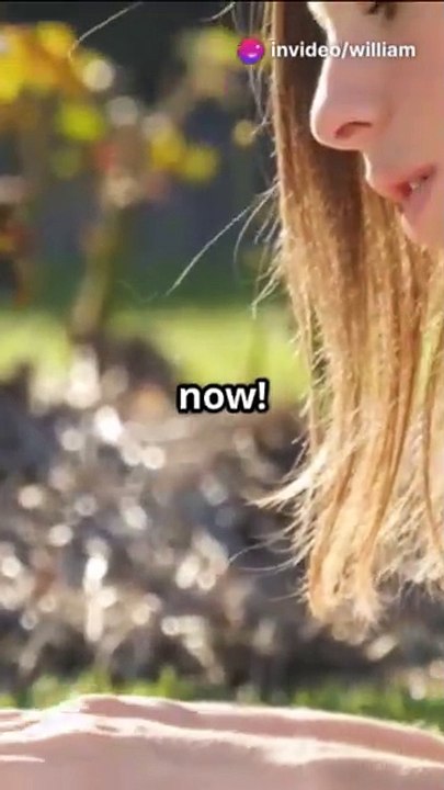 Achieve Academic Success with Expert Dissertation Writing Services Today