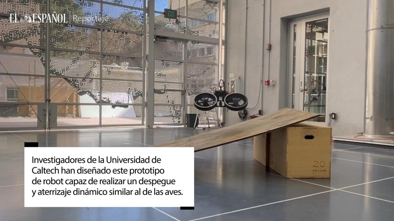 Universidad de Caltech han diseñado este prototipo de robot