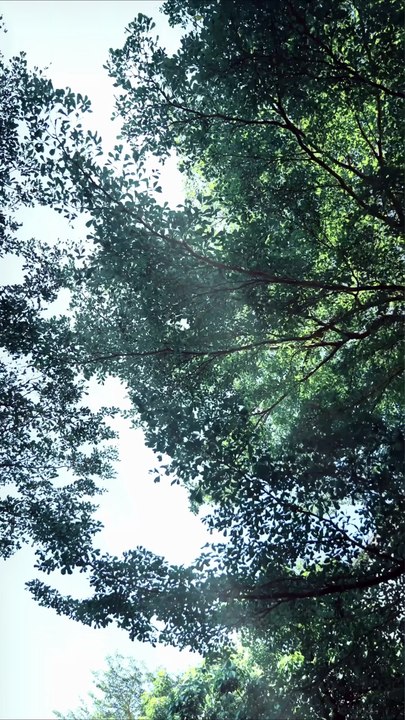 Pink Glowing Luggage