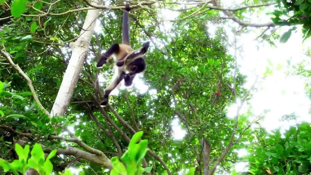 Roma and Diana learn the alphabet - ABC song