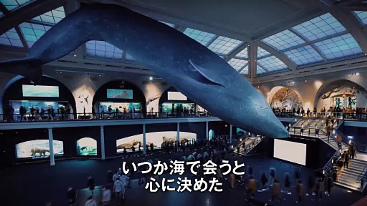 映画『パトリックとクジラ 6000日の絆』