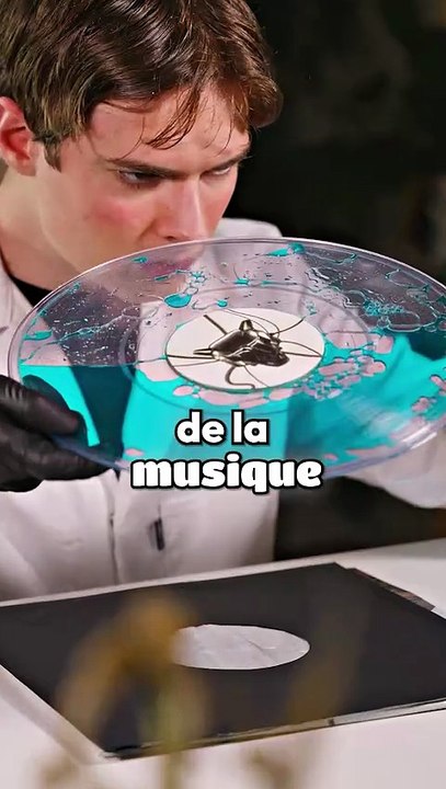 Banger banger banger ? 💰