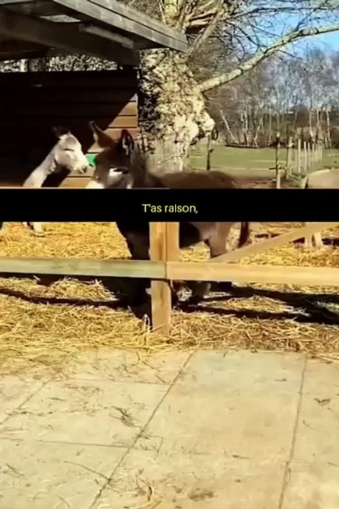 j’ai dropper - Twitch clips compilation ! #clip #twitch #funny #compilation #satisfyingvideo