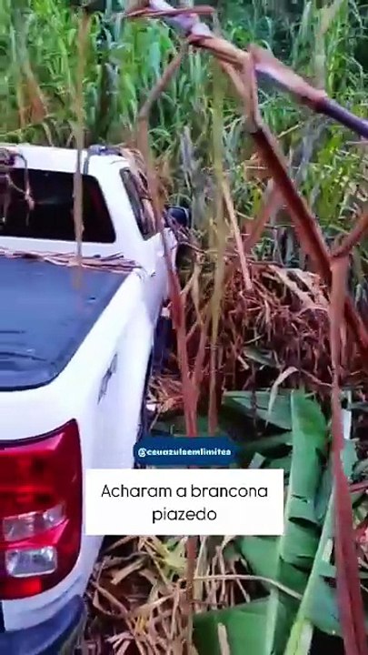 Vídeo revela localização de caminhonete roubada em meio a plantação