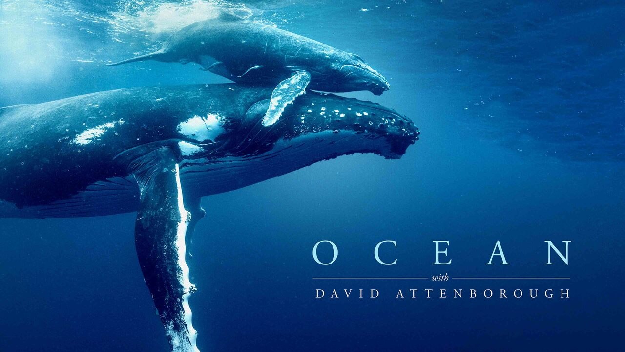 Océanos con David Attenborough | Tráiler oficial en inglés
