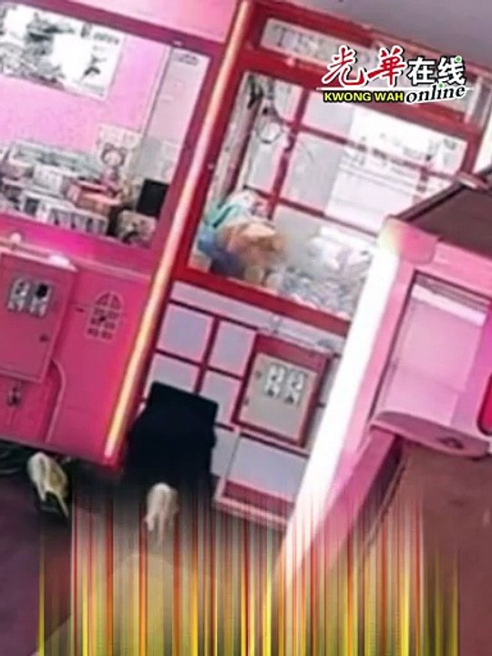 疑男童钻娃娃机偷娃娃  男子帮忙把风接应