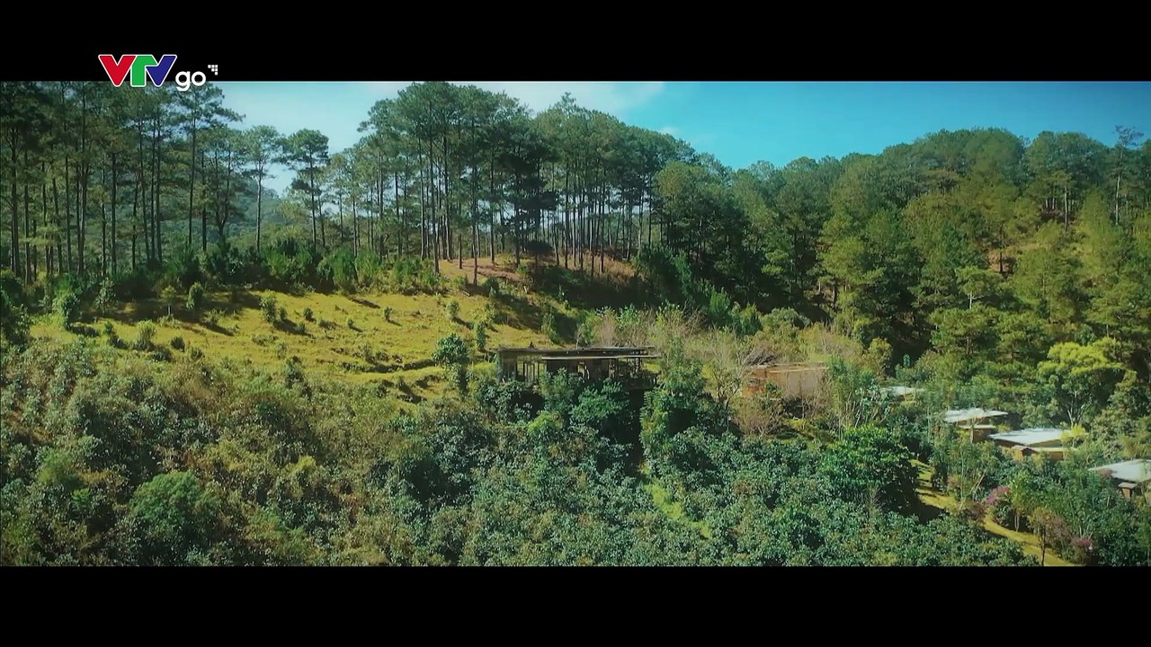 MẶT TRỜI LẠNH - TẬP 6 - PHIM VIỆT NAM VTV3 – MAT TROI LANH