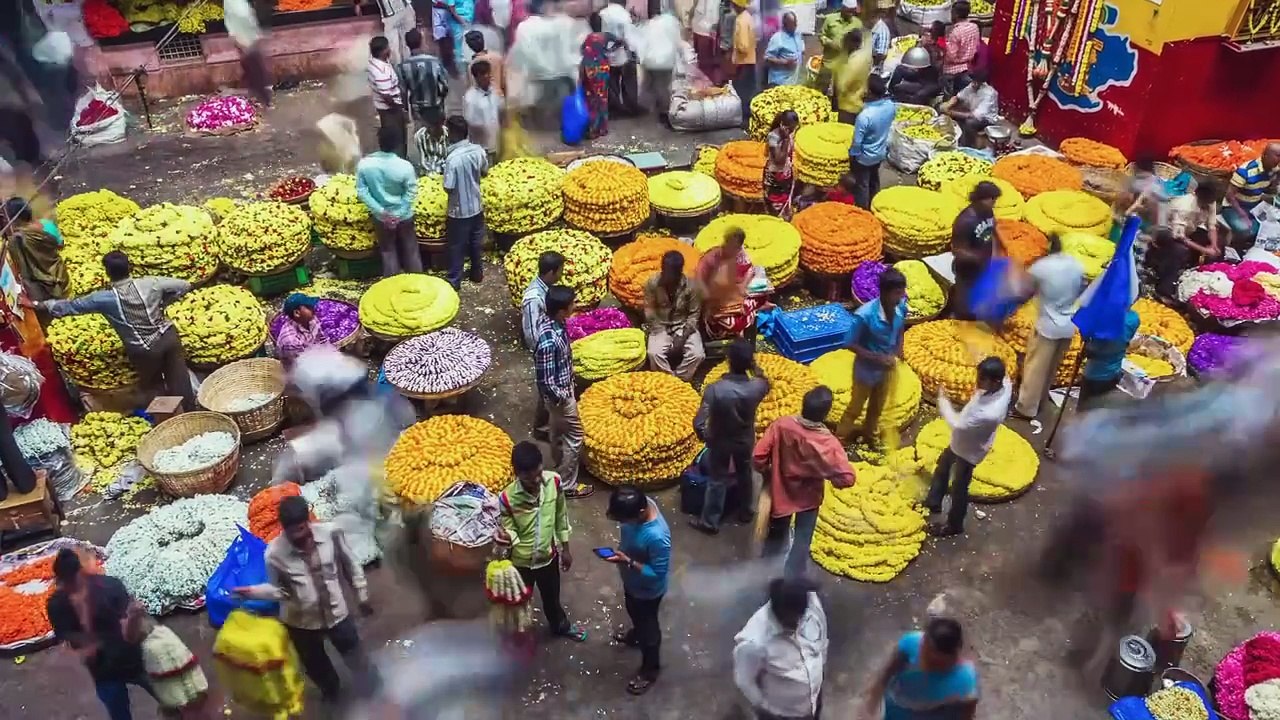 Race Across the World - S05E08