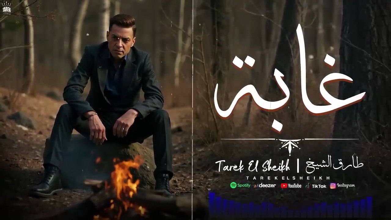 غابة - طارق الشيخ رباعيات مسلسل حكيم باشا 2025  - Tarek El Sheikh ( Ghaba )  Lyrics Video