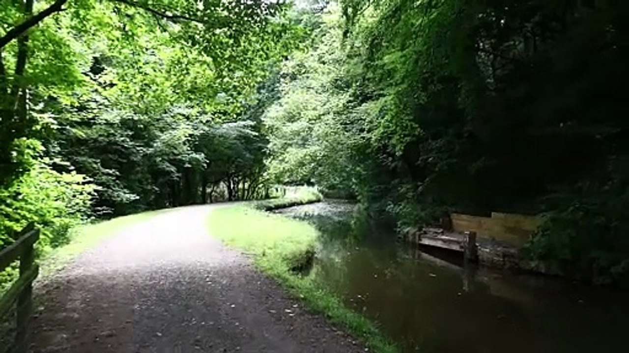 'We bought a mansion'