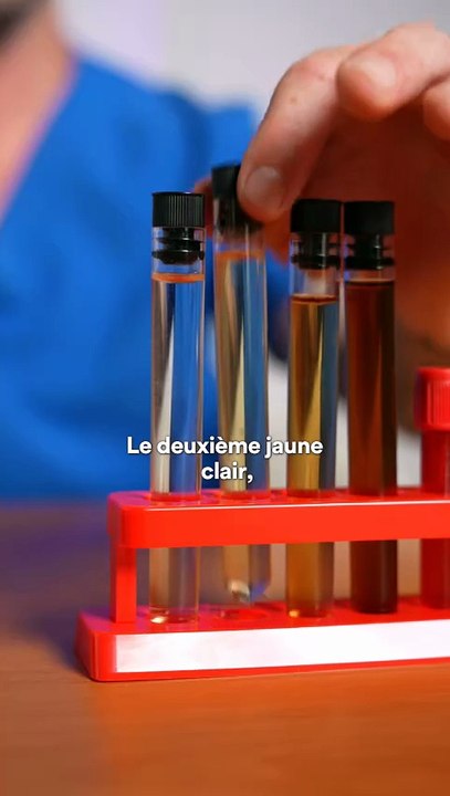 Comparer l'urine de son cheval