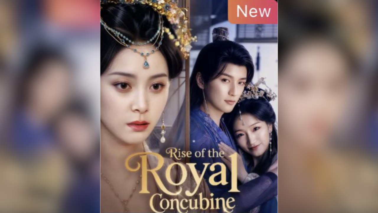Rise of The Royal Concubine / Rise of the Consort
