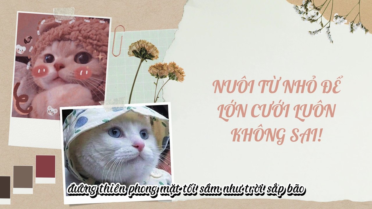 Truyện Audio Hay || Nuôi Từ Nhỏ Để Lớn Cưới Luôn Không Sai! || Thiên Thần Dắt Truyện