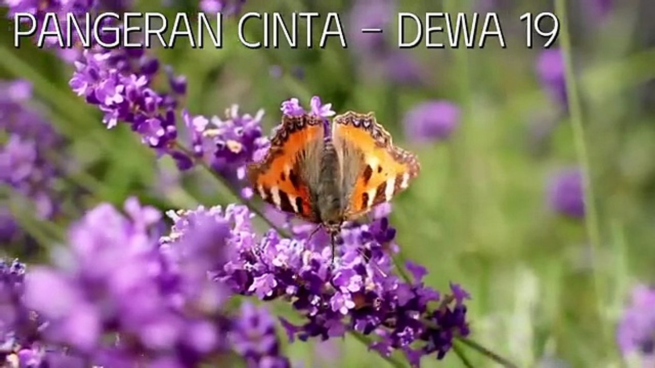 Lagu Terbaik DEWA 19 Indonesia Terbaik & Terpopuler Tahun 2000an