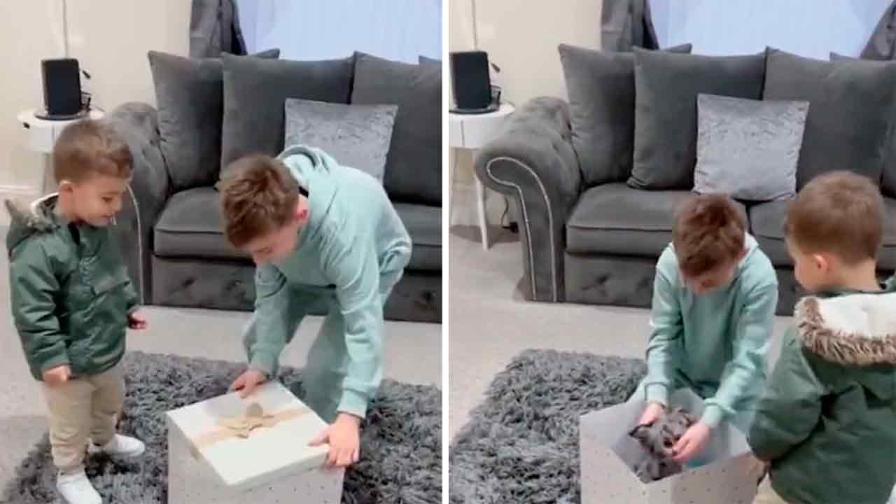 溫馨影片：男孩收到小狗感動落淚