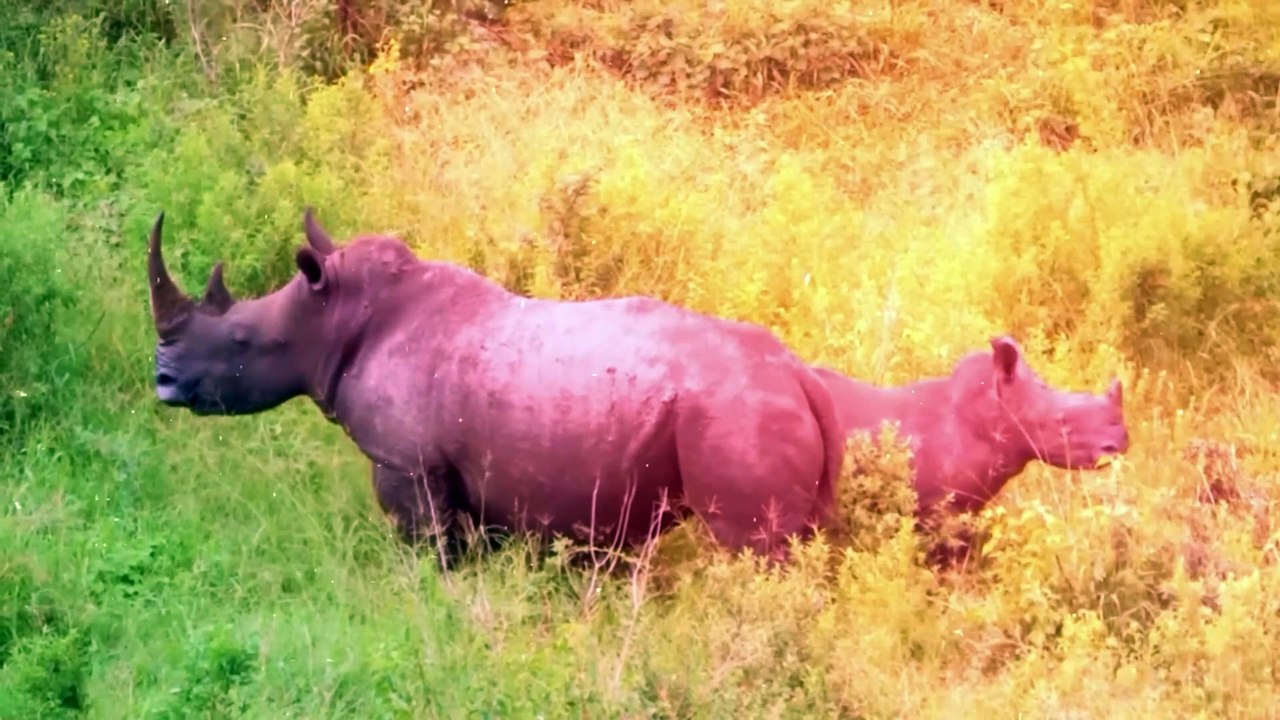 Scientists Terrifying Discovery in the Philippines that Changes Everything