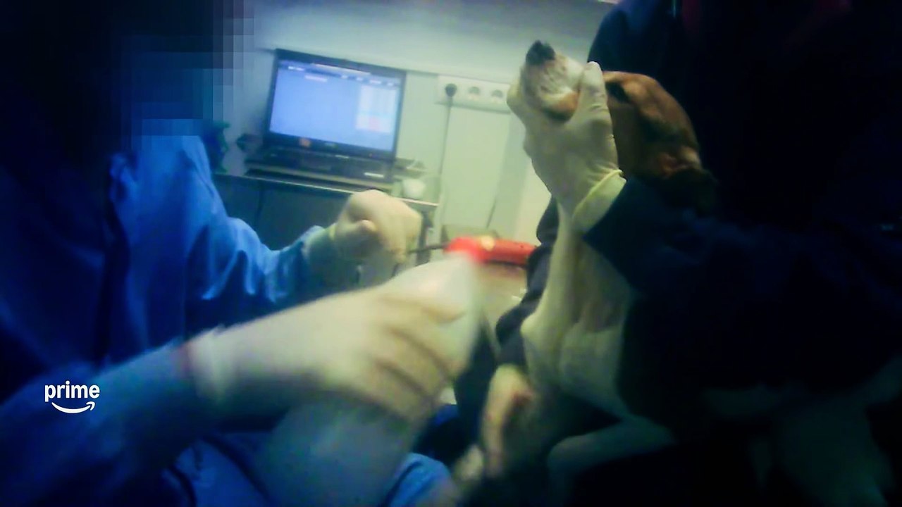 Infiltrada en el búnker | movie | 2025 | Official Trailer